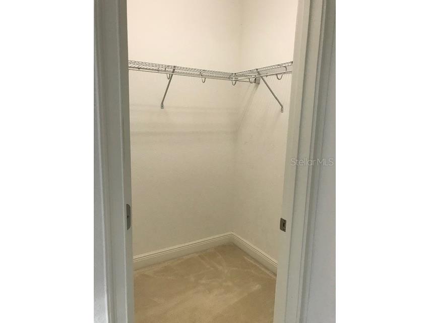 6560 Candied Peel Alley Winter Garden FL 34787 S5115131 image11