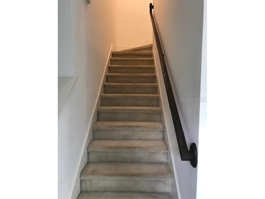 6560 Candied Peel Alley Winter Garden FL 34787 S5115131 image12