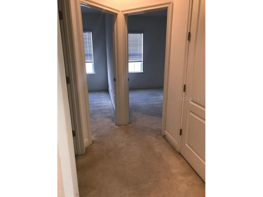 6560 Candied Peel Alley Winter Garden FL 34787 S5115131 image13