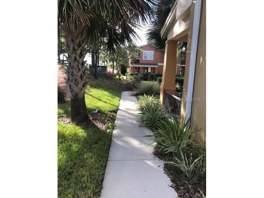 6560 Candied Peel Alley Winter Garden FL 34787 S5115131 image3