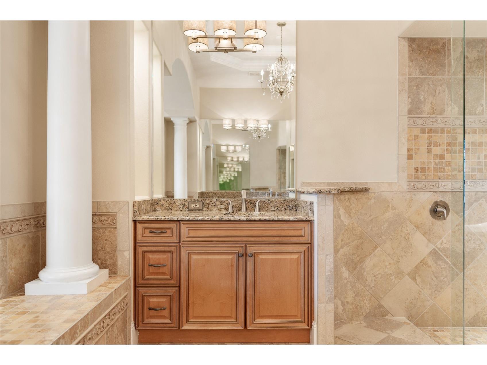 6560 Lake Burden View Drive Windermere FL 34786 O6381835 image15