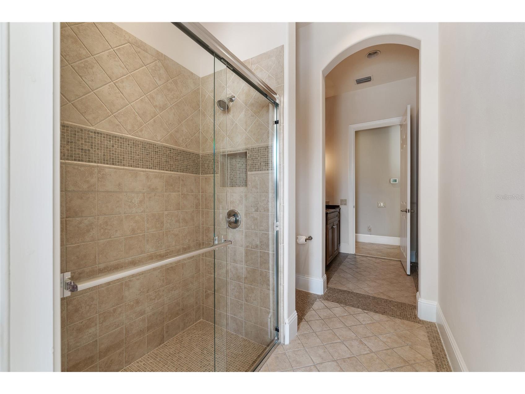6560 Lake Burden View Drive Windermere FL 34786 O6381835 image21