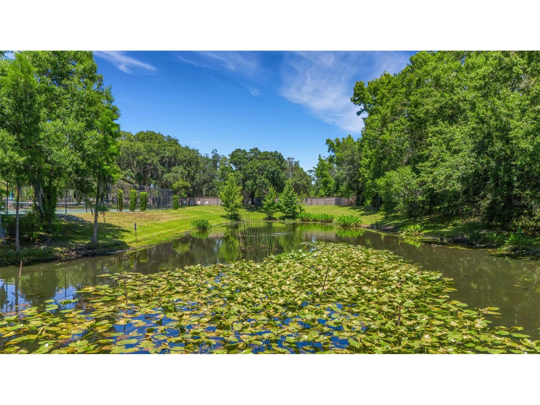 6560 Lake Clark Drive Lakeland FL 33813 L4961782 image34