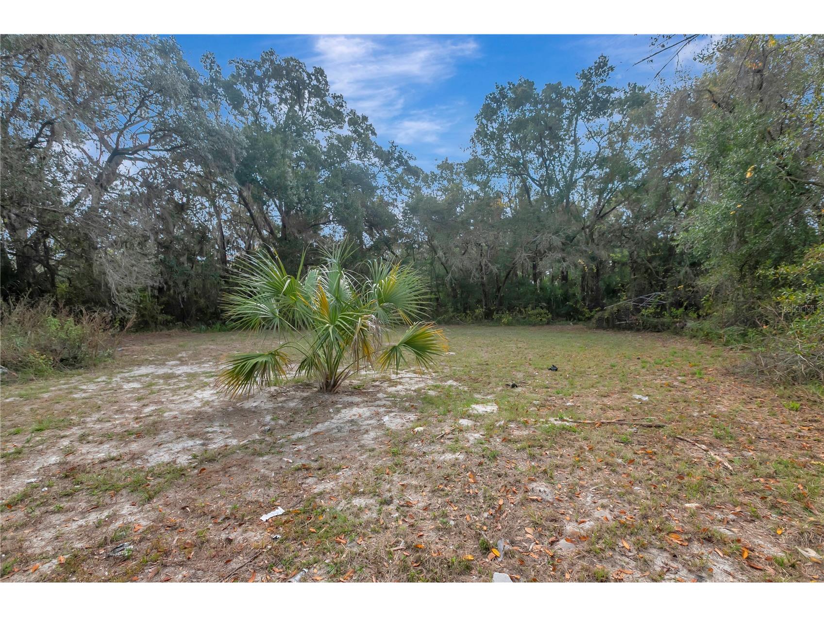 6560 W Avocado Street Crystal River FL 34429 TB8461857 image33