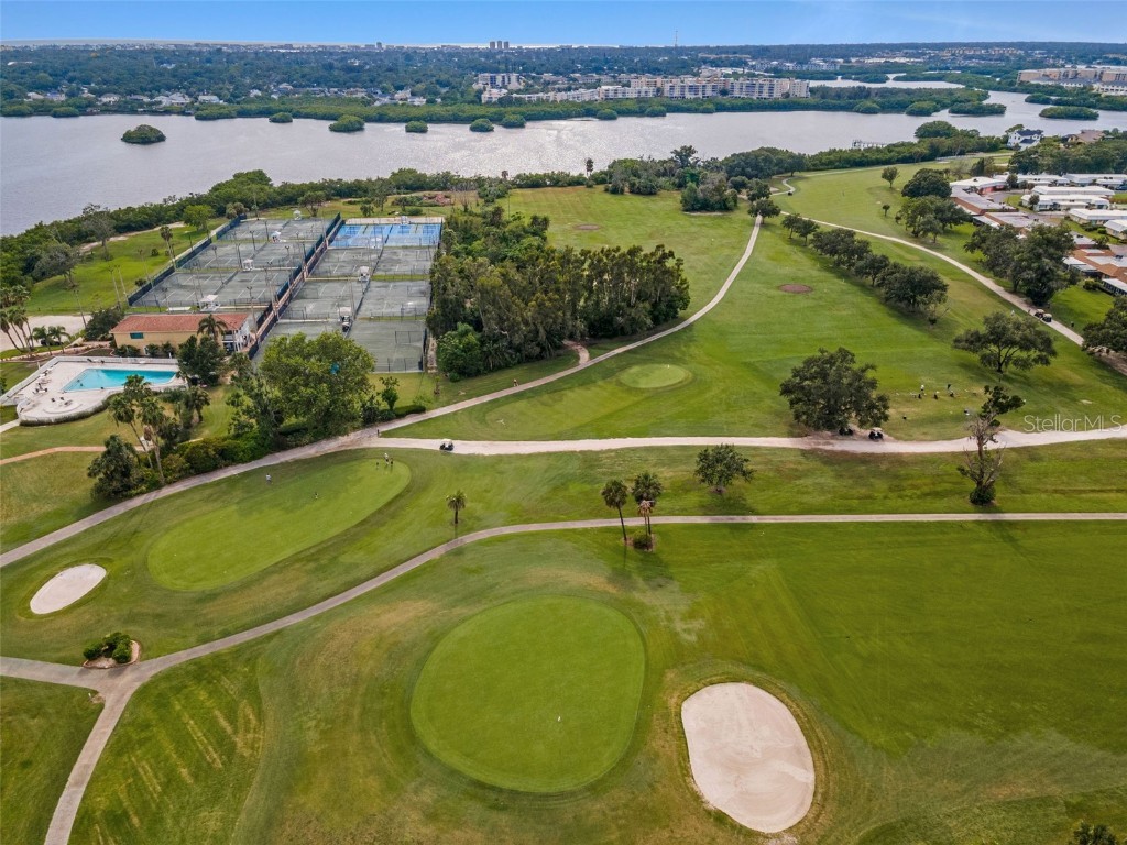 6561 Golden Horseshoe Drive Seminole FL 33777 TB8418598 image43