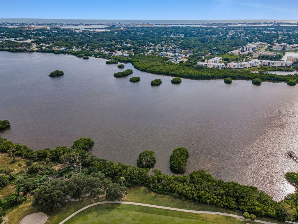 6561 Golden Horseshoe Drive Seminole FL 33777 TB8418598 image44