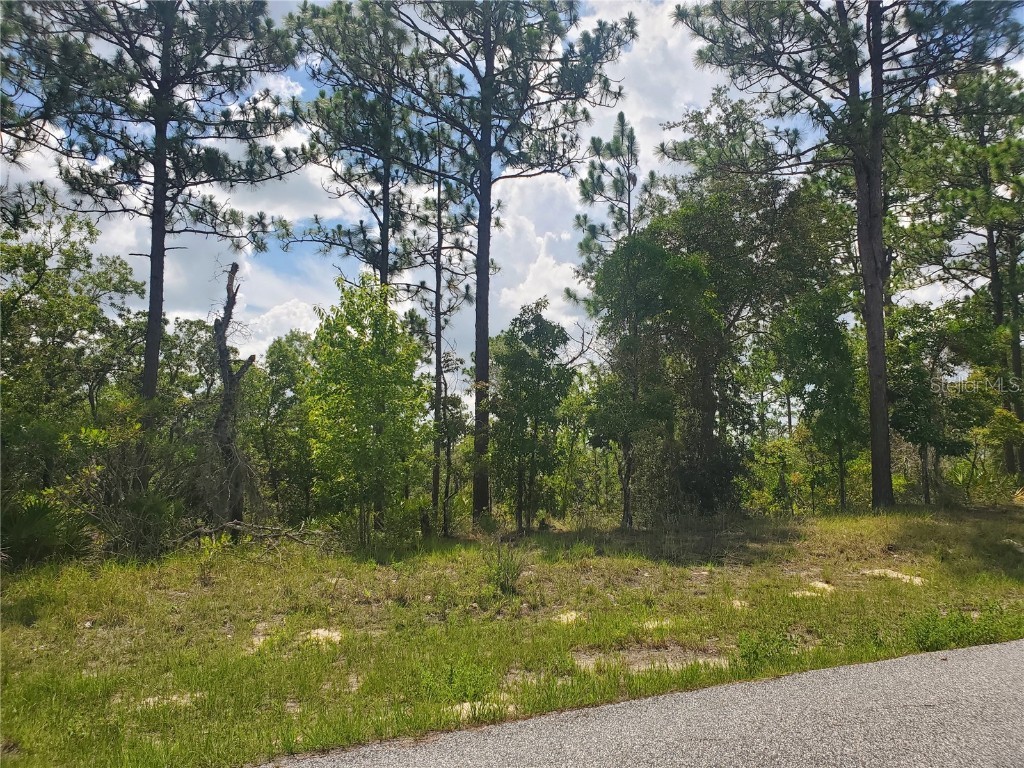 6562 N Clayton Avenue Dunnellon FL 34434 T3534694 image1