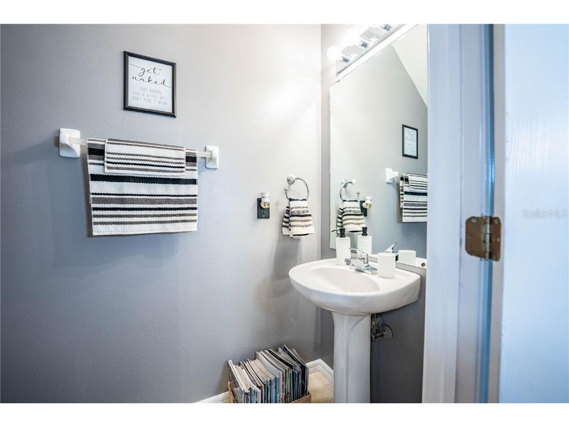 6562 Osprey Lake Circle Riverview FL 33578 L4956972 image25