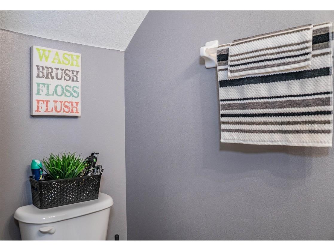 6562 Osprey Lake Circle Riverview FL 33578 L4956972 image27