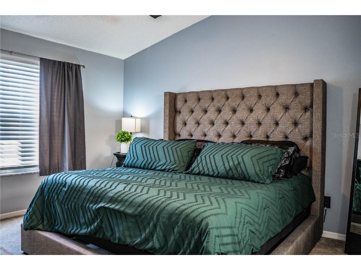 6562 Osprey Lake Circle Riverview FL 33578 L4956972 image29