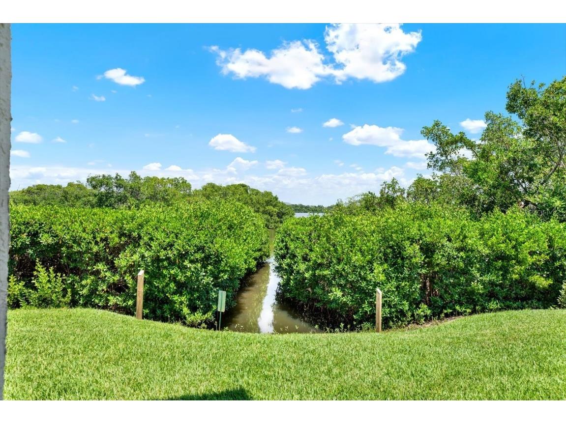 6565 99th Way N #21D Seminole FL 33708 - LONG BAYOU TB8409532 image42