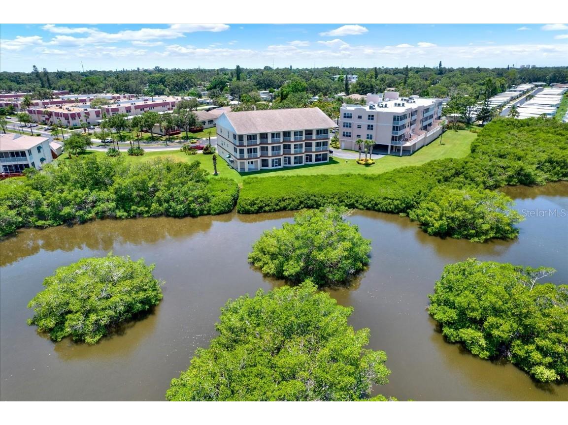 6565 99th Way N #21D Seminole FL 33708 - LONG BAYOU TB8409532 image46