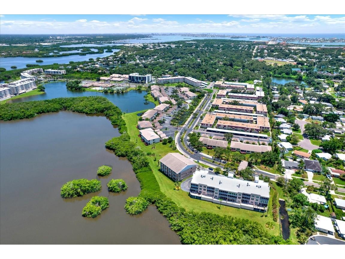 6565 99th Way N #21D Seminole FL 33708 - LONG BAYOU TB8409532 image47