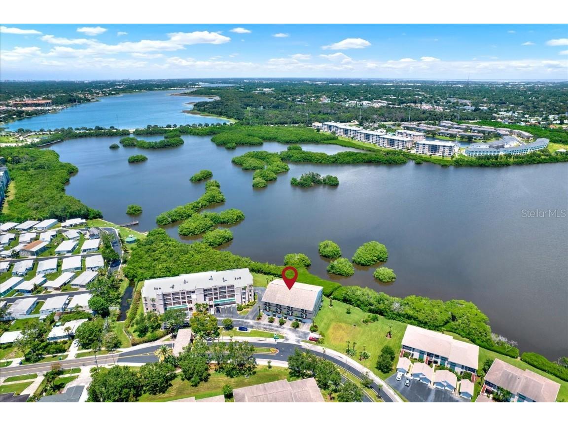 6565 99th Way N #21D Seminole FL 33708 - LONG BAYOU TB8409532 image48