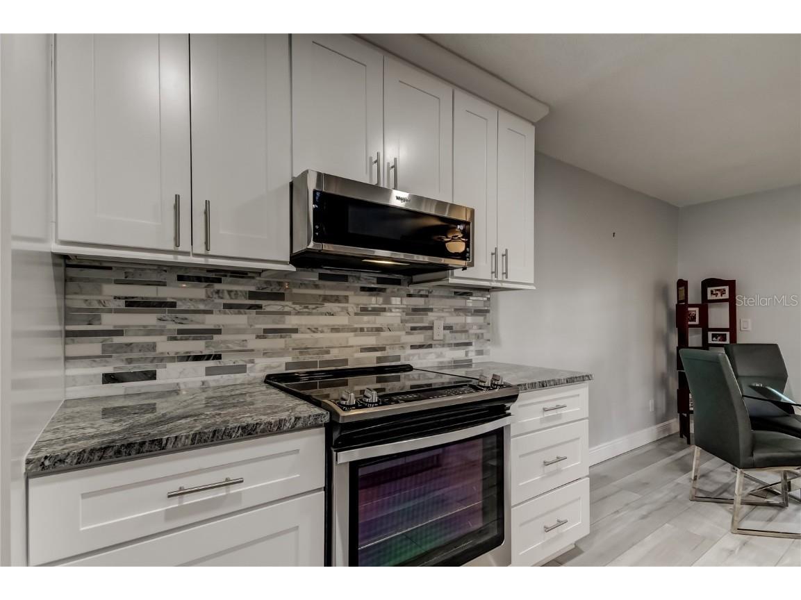 6566 Green Valley Drive #6565 Seminole FL 33777 TB8455242 image12