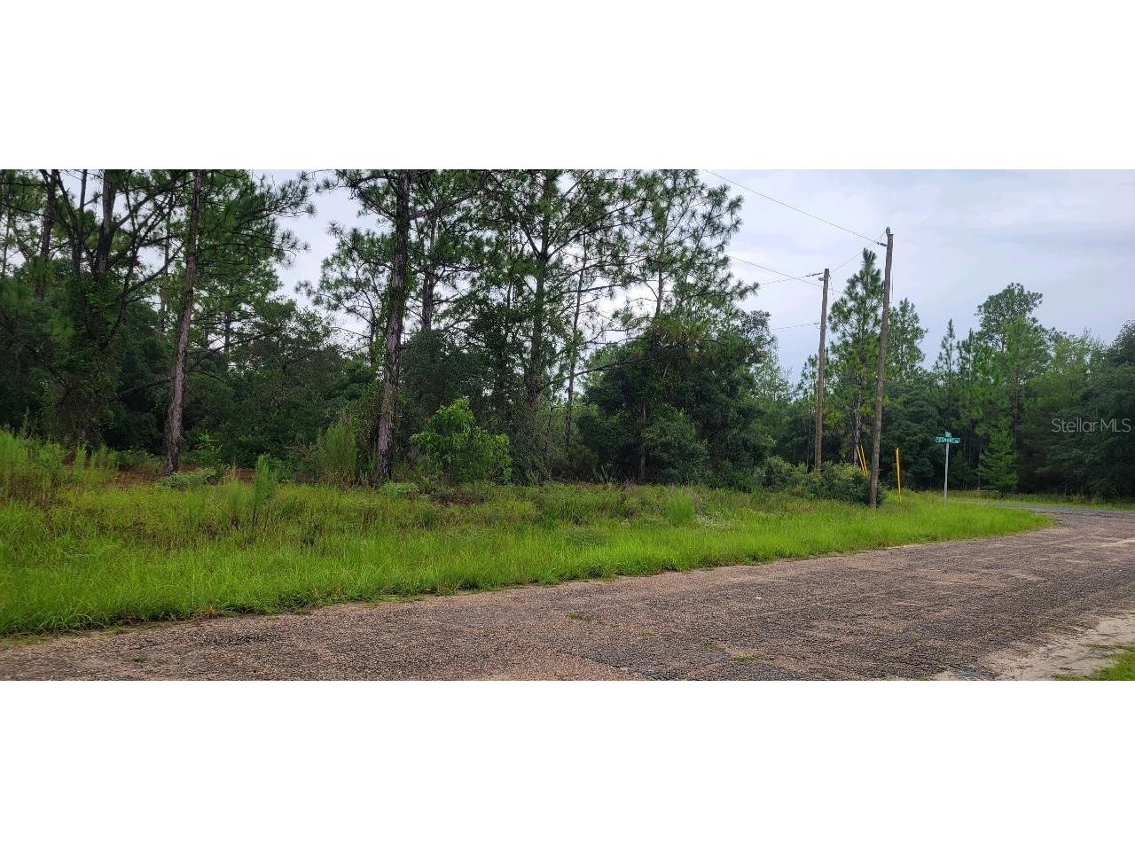 6567 N Clarion Terrace Citrus Springs FL 34433 W7867160 image1