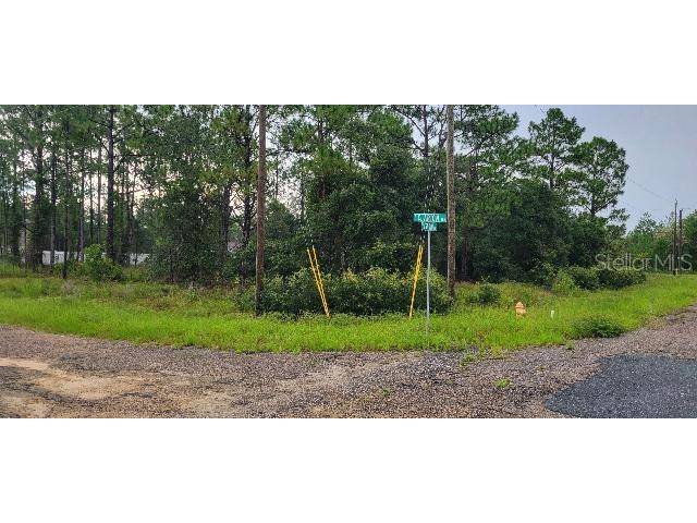 6567 N Clarion Terrace Citrus Springs FL 34433 W7867160 image2