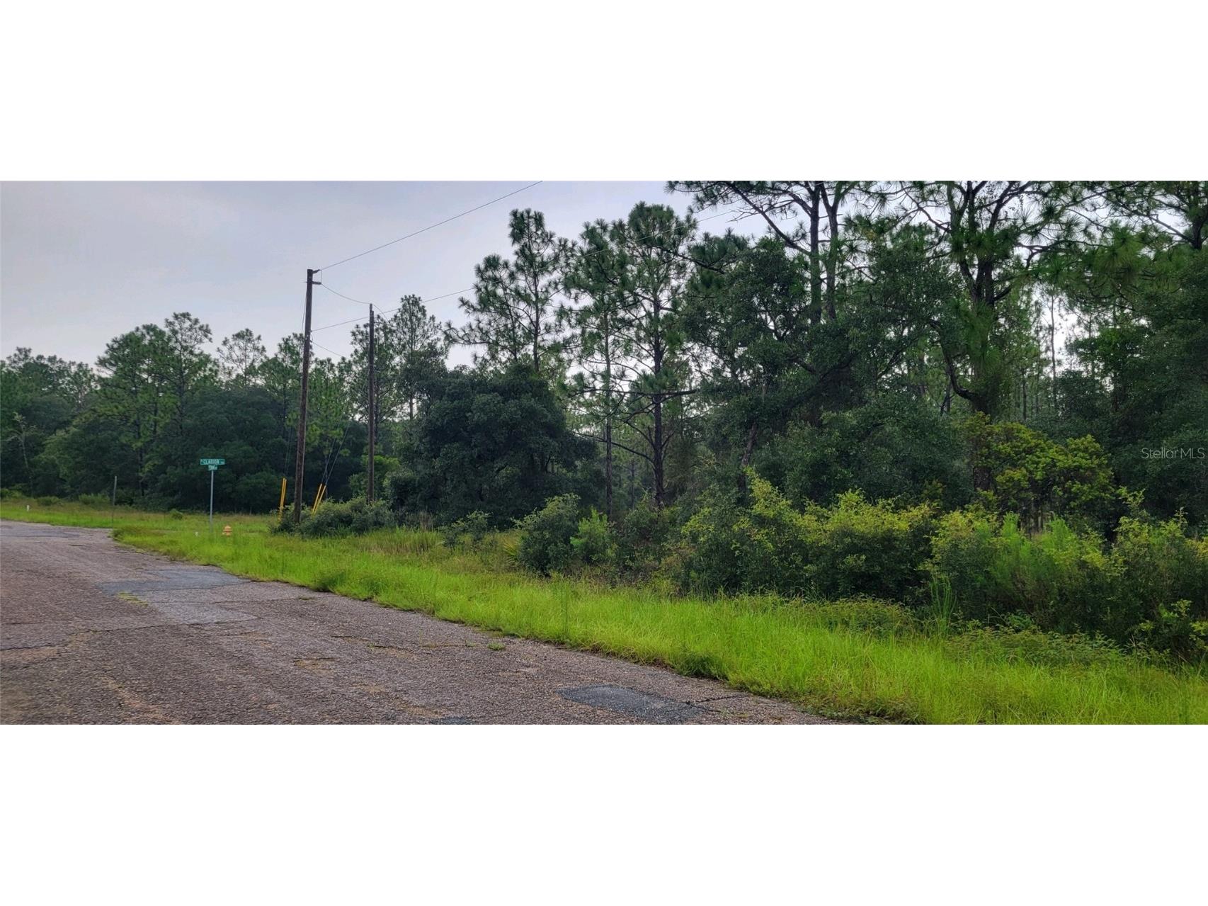 6567 N Clarion Terrace Citrus Springs FL 34433 W7867160 image3