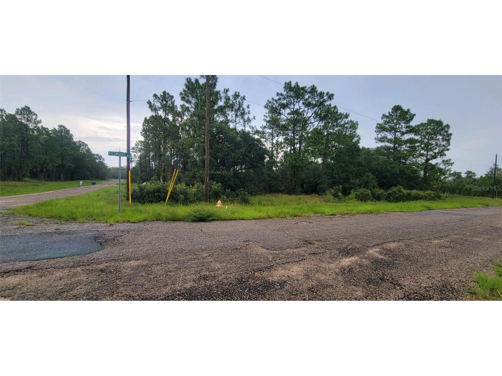 6567 N Clarion Terrace Citrus Springs FL 34433 W7867160 image4