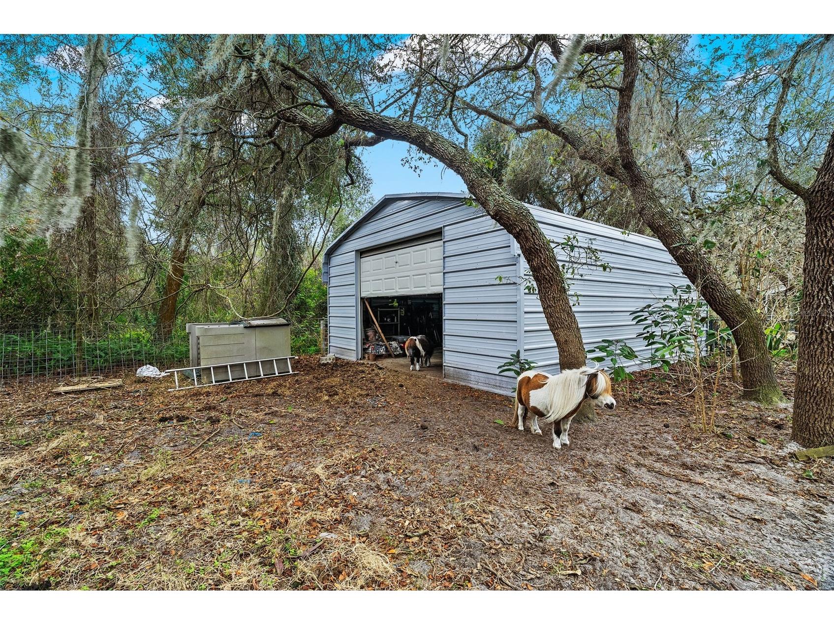 6568 Millstone Drive New Port Richey FL 34655 TB8475955 image51