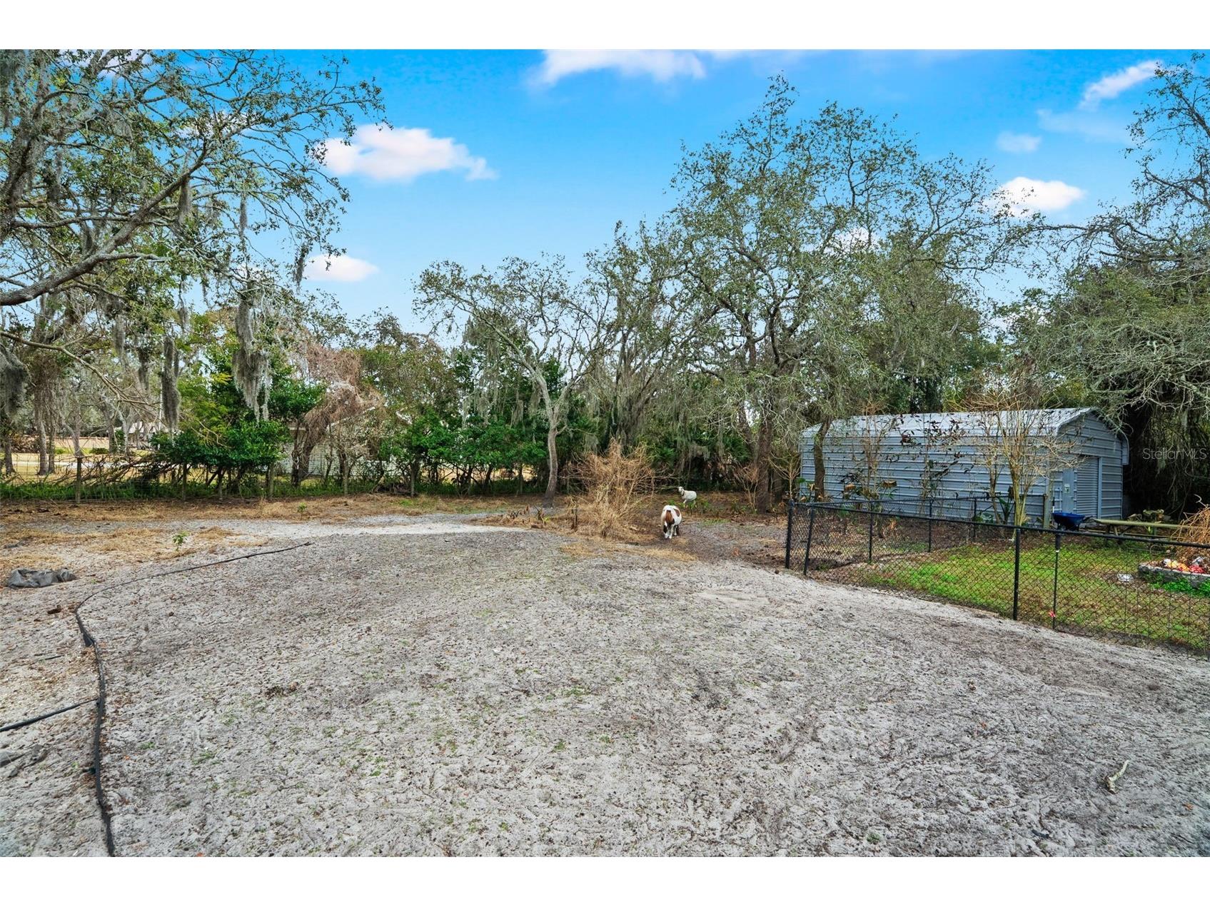 6568 Millstone Drive New Port Richey FL 34655 TB8475955 image53