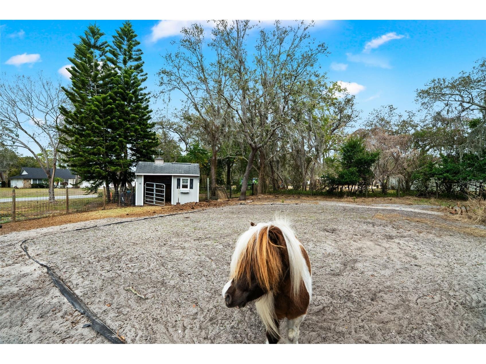 6568 Millstone Drive New Port Richey FL 34655 TB8475955 image54