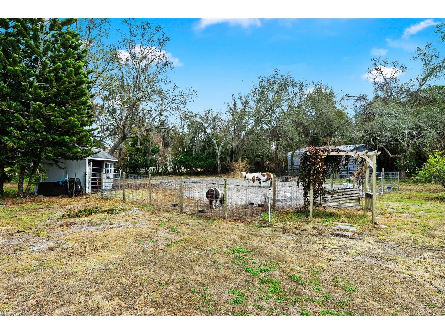 6568 Millstone Drive New Port Richey FL 34655 TB8475955 image55