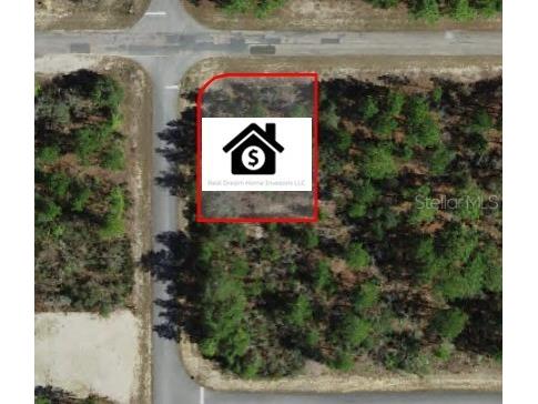 6568 N Dunlap Terrace Citrus Springs FL 34433 O6299175 image1