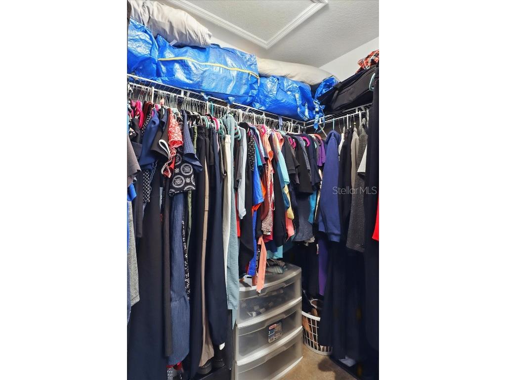 6568 N Waycross Way Citrus Springs FL 34433 W7878496 image28