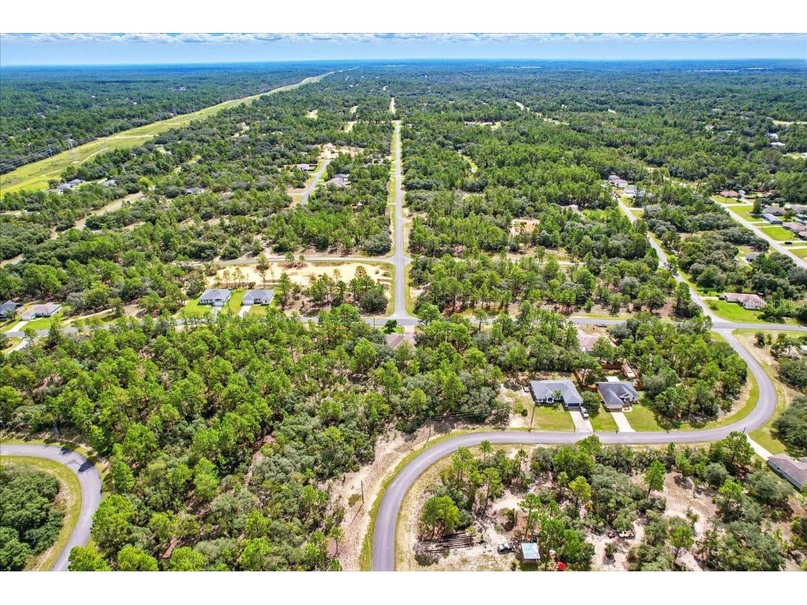 6568 N Waycross Way Citrus Springs FL 34433 W7878496 image41