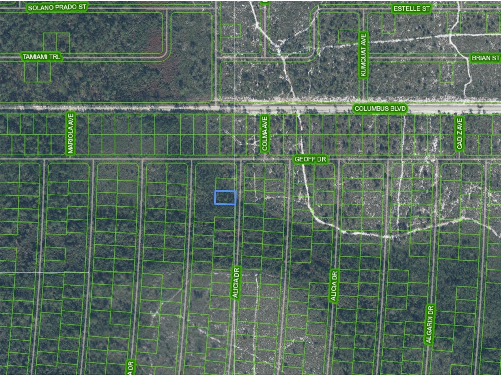 6569 Persis Drive Sebring FL 33872 P4938469 image2