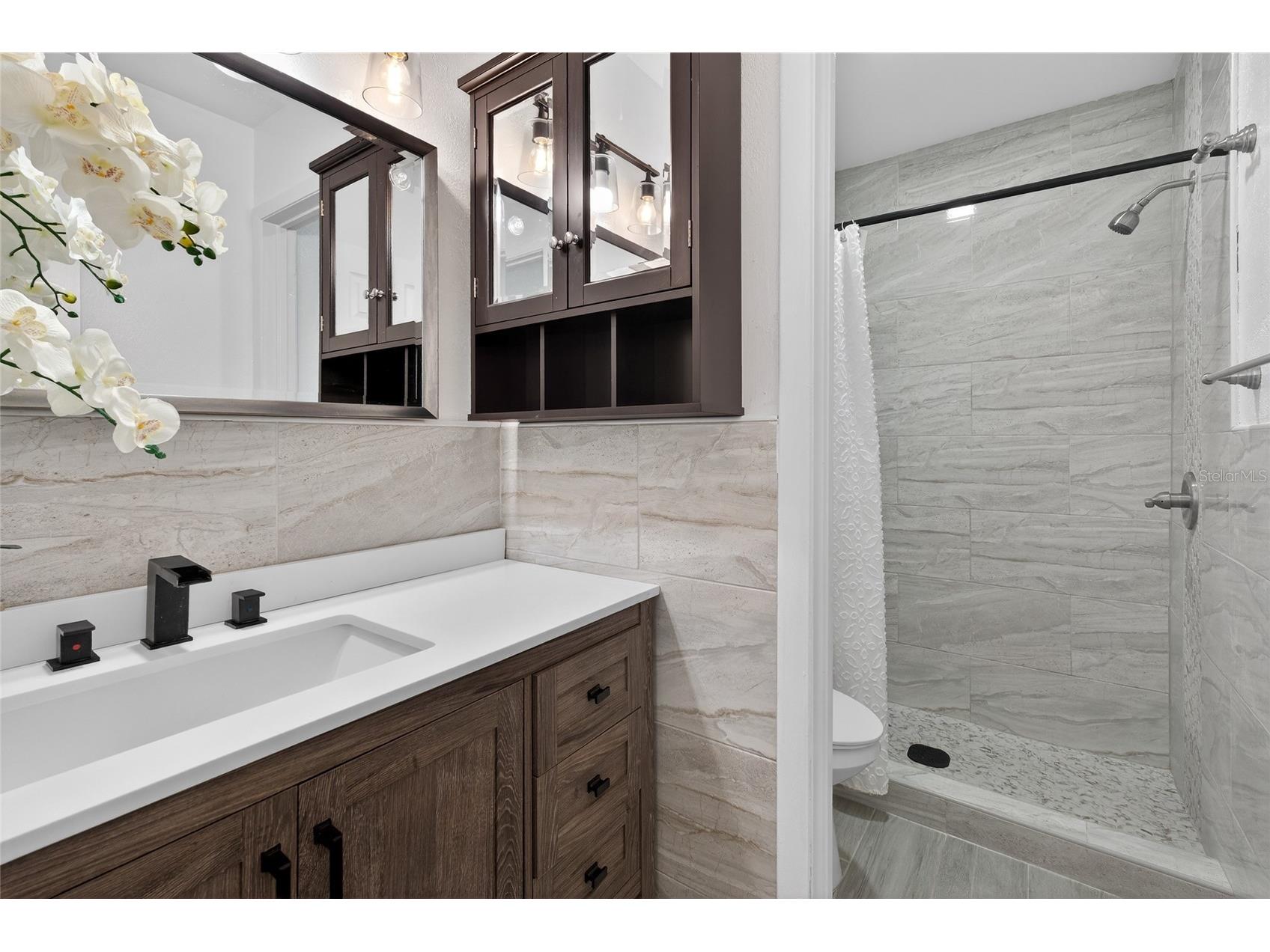 657 99th Avenue N #202 Saint Petersburg FL 33702 TB8489731 image35