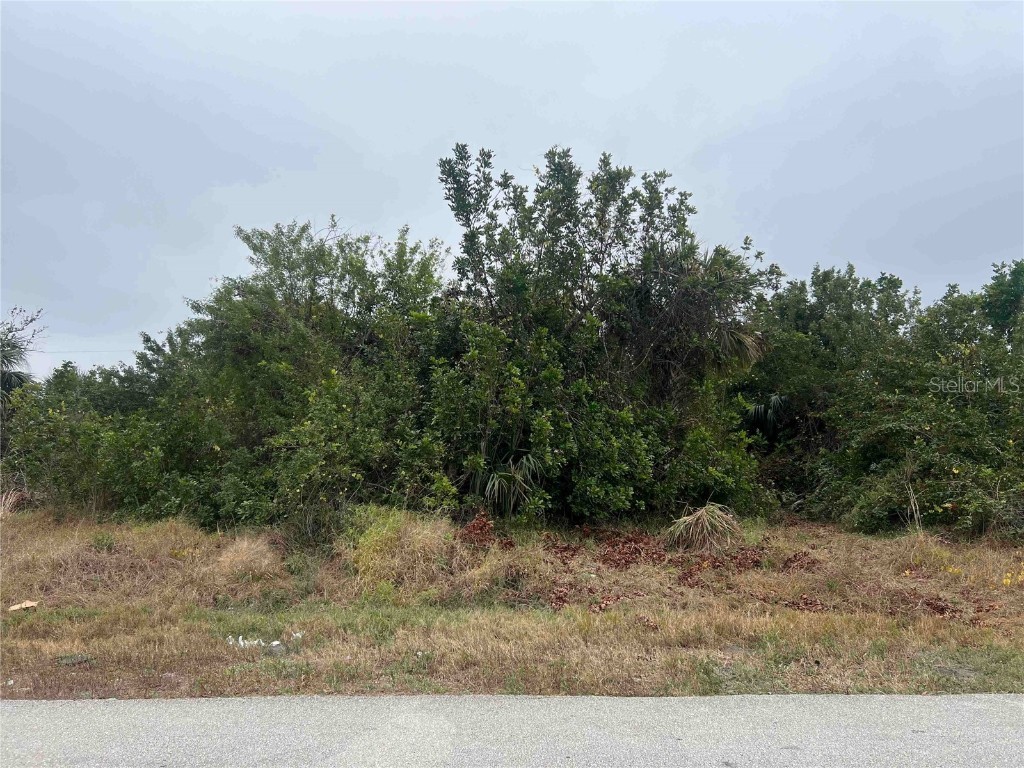 657 Cape Terrace NW Port Charlotte FL 33952 OM693499 image4