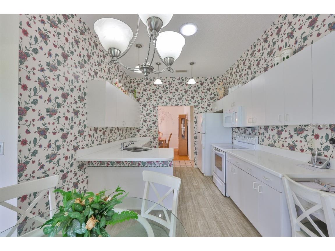 657 Masterpiece Drive #154 Sun City Center FL 33573 TB8420854 image20