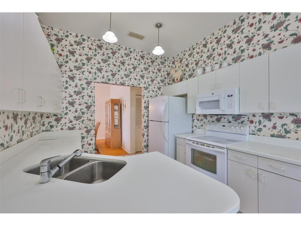 657 Masterpiece Drive #154 Sun City Center FL 33573 TB8420854 image21