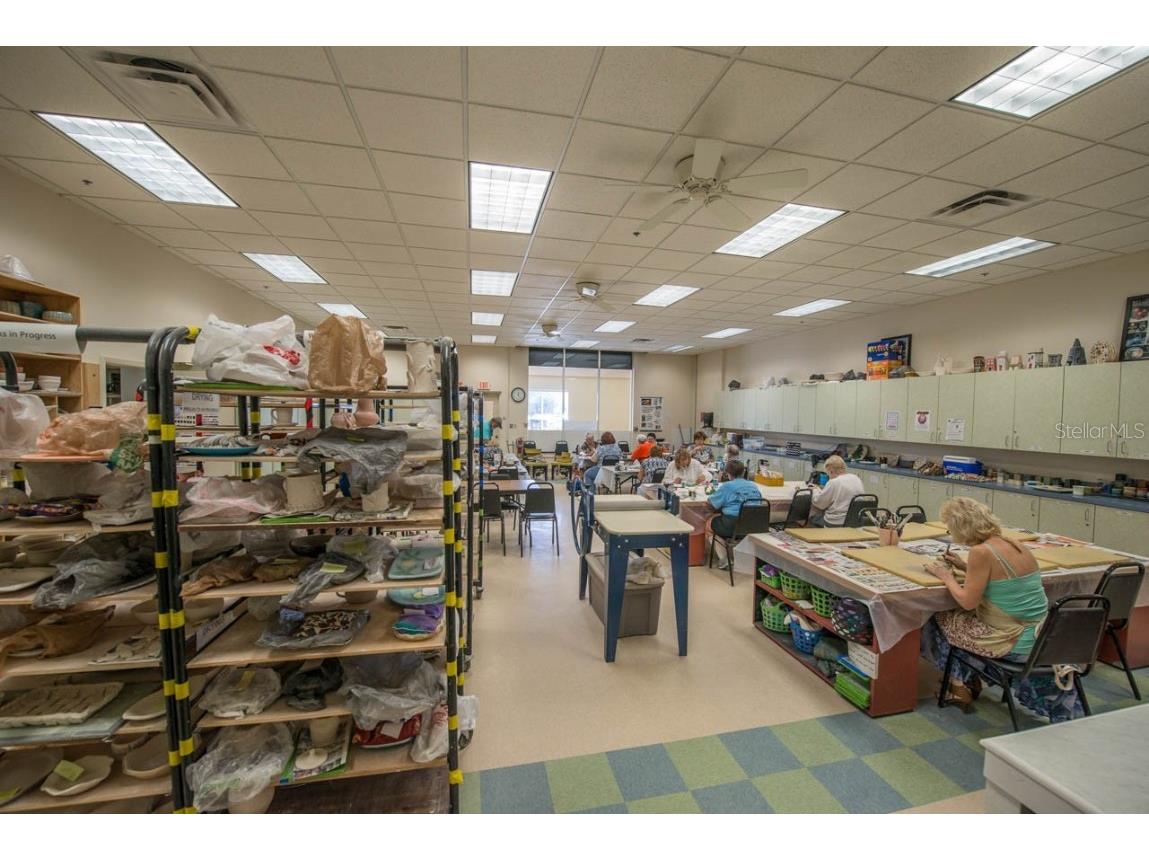 657 Masterpiece Drive #154 Sun City Center FL 33573 TB8420854 image46