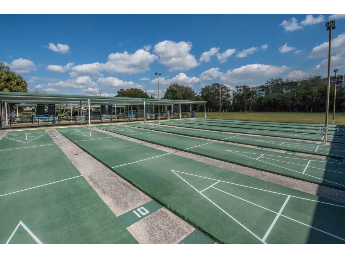 657 Masterpiece Drive #154 Sun City Center FL 33573 TB8420854 image60