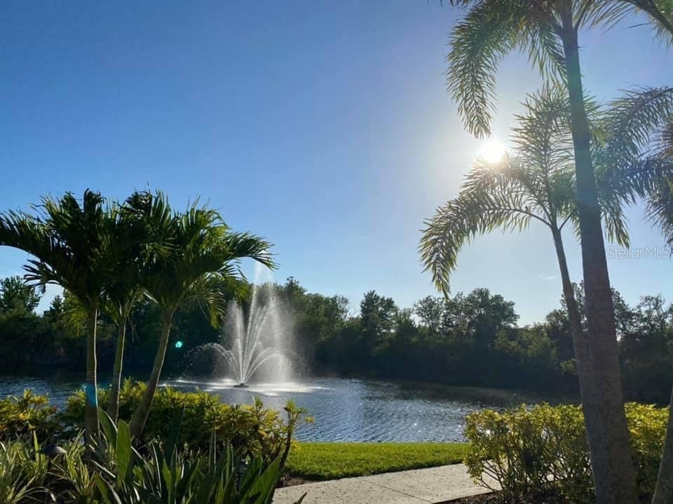 657 Masterpiece Drive #154 Sun City Center FL 33573 TB8420854 image75