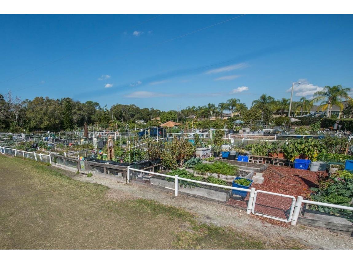 657 Masterpiece Drive #154 Sun City Center FL 33573 TB8420854 image89