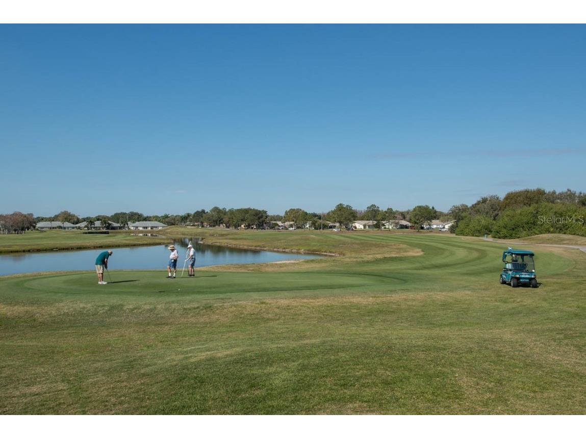 657 Masterpiece Drive #154 Sun City Center FL 33573 TB8420854 image92