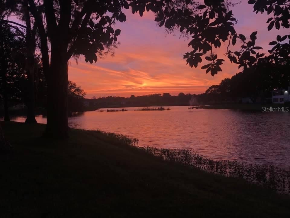 657 Midway Drive #A Ocala FL 34472 - LAKE SPARKLE OM697077 image66