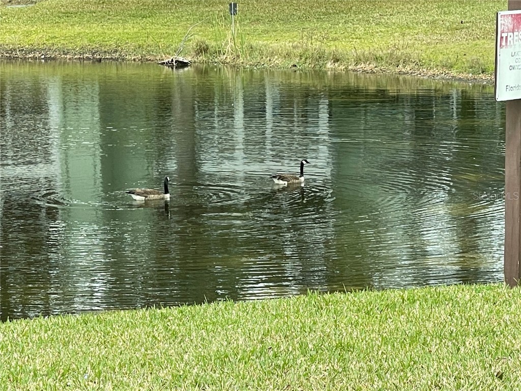 657 Midway Drive #A Ocala FL 34472 - LAKE SPARKLE OM697077 image68