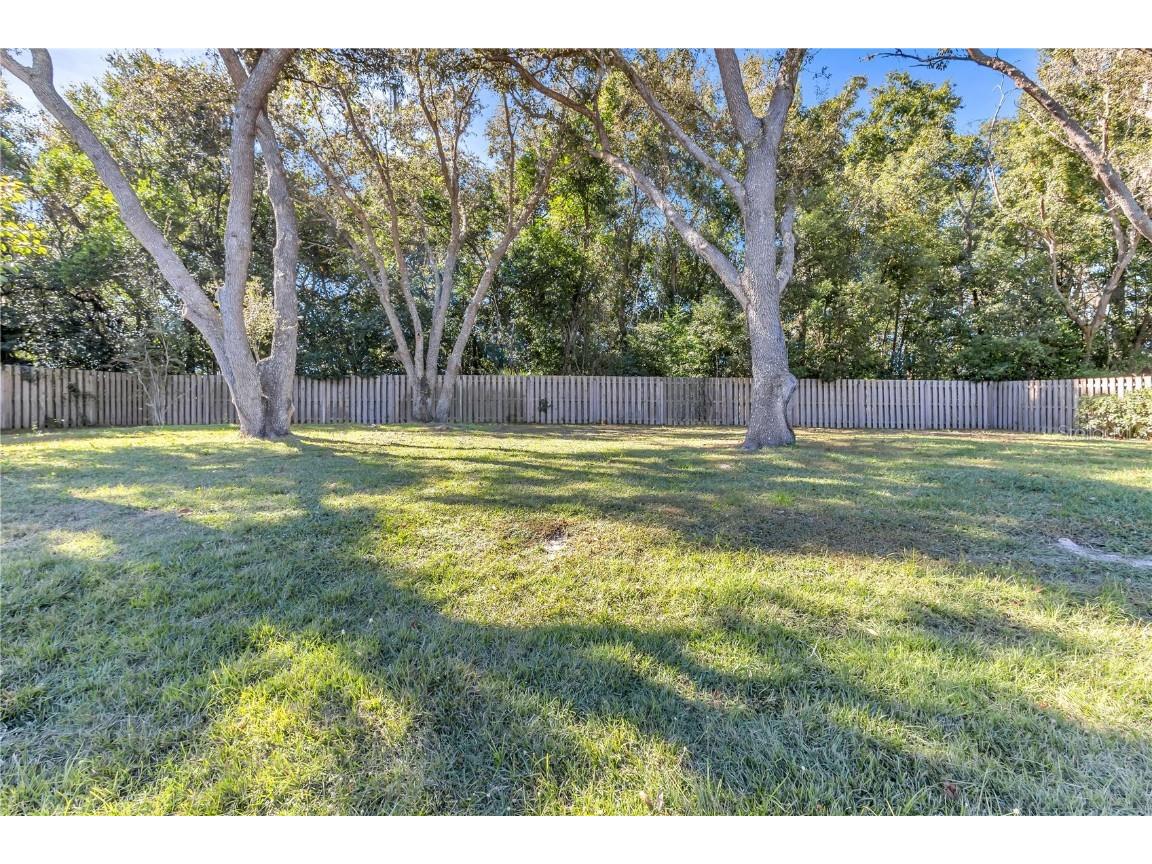 657 Mount Stirling Avenue Apopka FL 32712 O6357212 image40