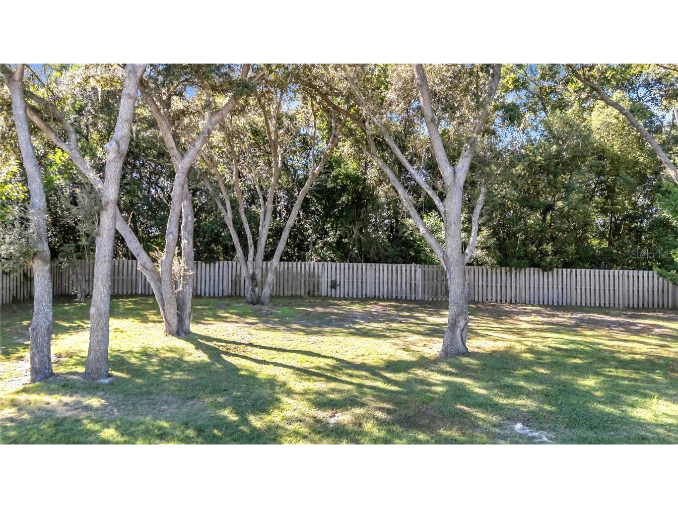 657 Mount Stirling Avenue Apopka FL 32712 O6357212 image42