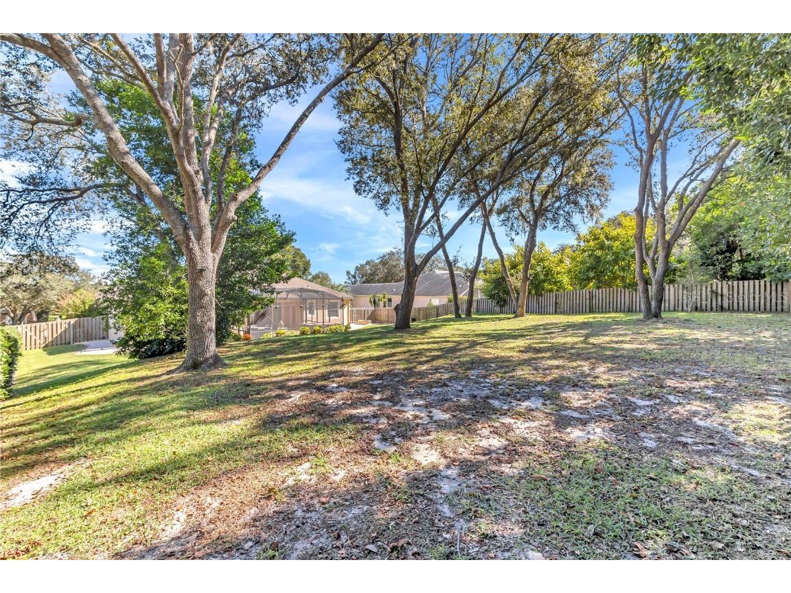 657 Mount Stirling Avenue Apopka FL 32712 O6357212 image43