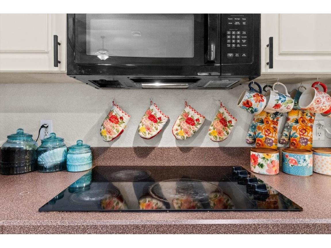 657 W Keller Street Hernando FL 34442 TB8410671 image21