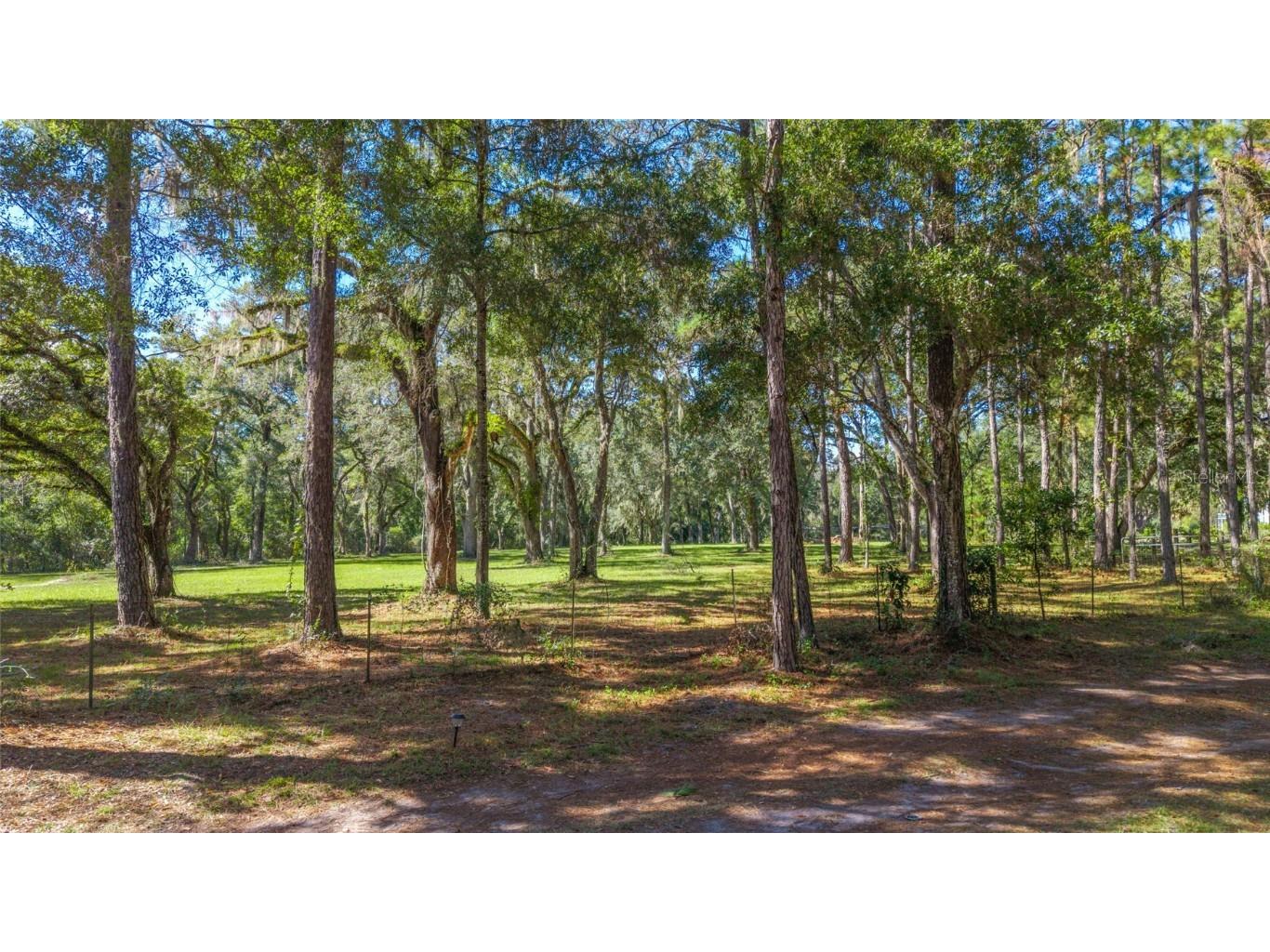 6570 NE 172nd Court Williston FL 32696 OM712618 image79