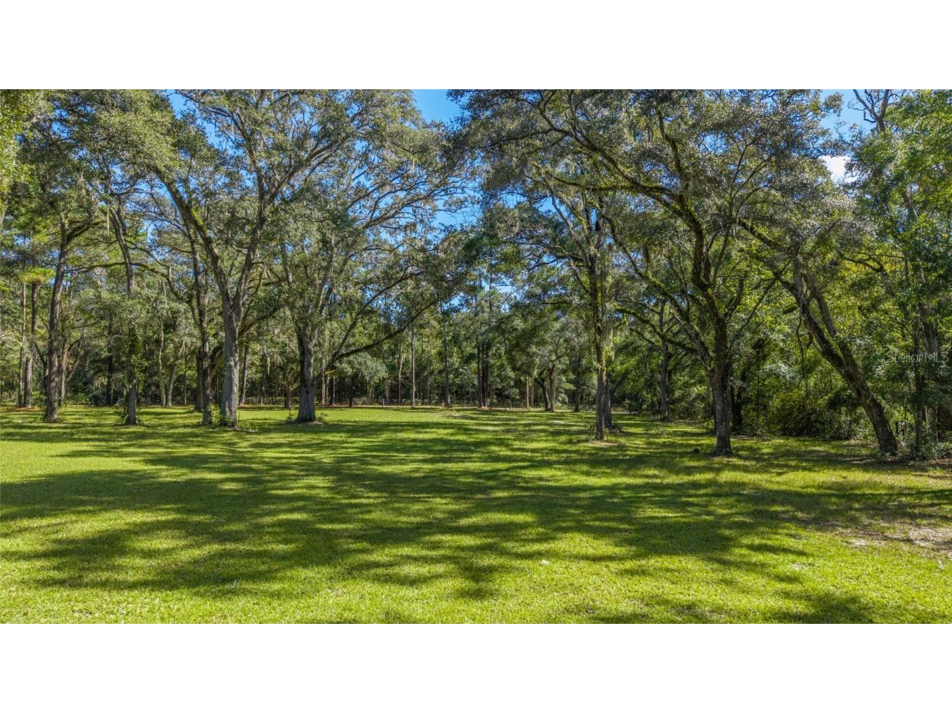 6570 NE 172nd Court Williston FL 32696 OM712618 image80