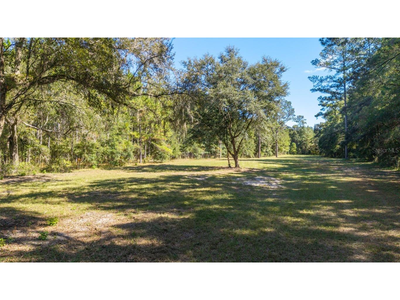6570 NE 172nd Court Williston FL 32696 OM712618 image81