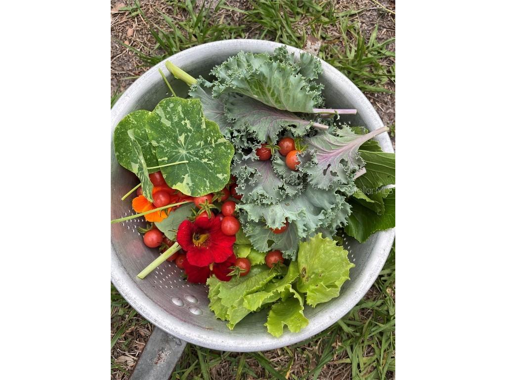 6570 Old Ranch Road Sarasota FL 34241 A4670782 image38